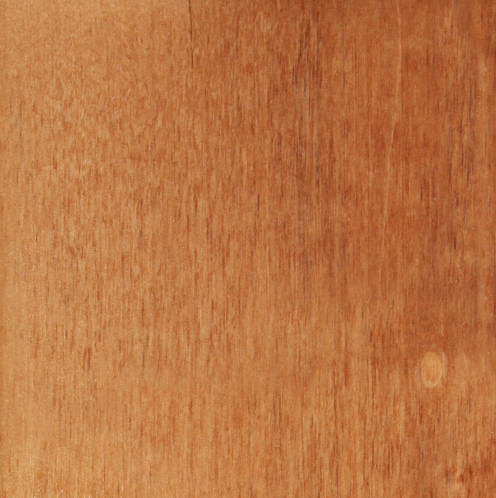 Светлый орех 1